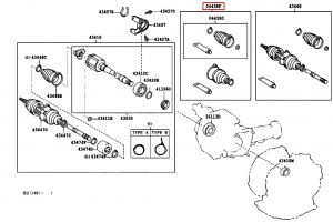 جلدة عكس امامي يمين داخلي و خارجي
