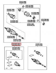 جلدة عكس امامي يمين داخلي و خارجي