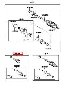 جلدة عكس امامي يسار داخلي و خارجي