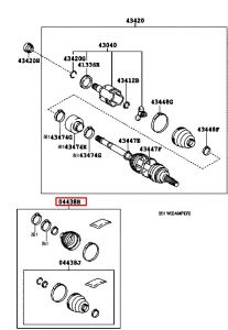 جلدة عكس امامي يسار داخلي و خارجي