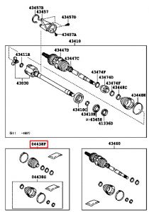 جلدة عكس امامي يسار داخلي و خارجي