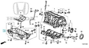 كارتير الزيت