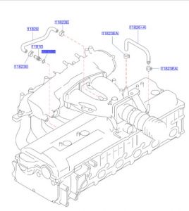 جلدة بلف بخار