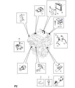 حساس الضغط المطلق