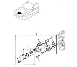 وجه مضخة الماء