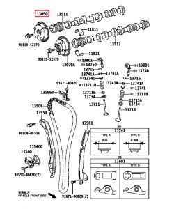 ترس عامود التايمن