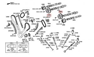ترس عامود التايمن
