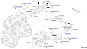 وجه كوع ماء