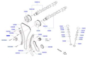 شداد جنزير التايمن