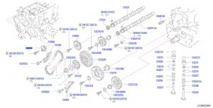 شداد جنزير التايمن