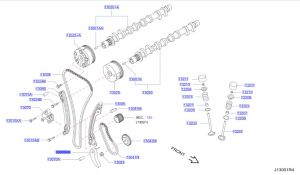 شداد جنزير التايمن