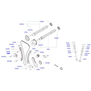 شداد جنزير التايمن