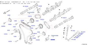شداد جنزير التايمن