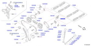 شداد جنزير التايمن