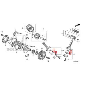 سبيكة عامود الكرنك المتحركة (C)  (اخضر) (DAIDO)