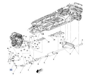 وجة ماصورة الشكمان
