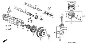 ترس سير التايمن الأمامي (ب)