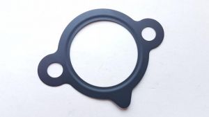 وجه شداد الجنزير