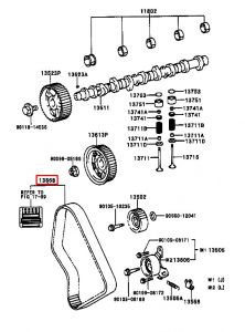 سير التايمن