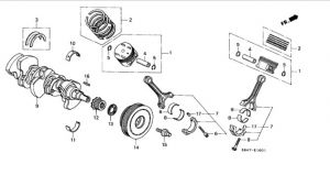 صاجة سير التايمن