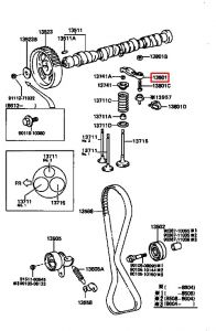 عصفور بلف رقم 1