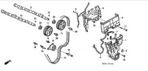ترس سير التايمن