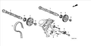 ترس سير التايمن الأمامي
