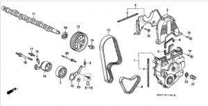 سير التايمن (112RU24 A-555)