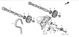 سير التايمن (197YU20 VE-501) (UNITTA)