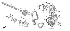 بكرة شداد سير تايمن كامله (NIPPON SEIKO)