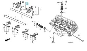 عصفور بلف الهواء الداخل