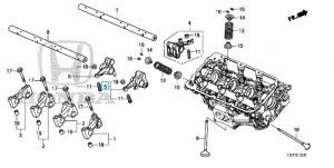 عصفور بلف العادم (أ)