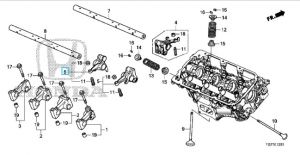 عصفور بلف العادم (ب)
