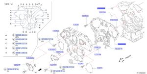 جلدة منع تهريب