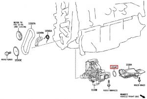 وجه شخال الزيت