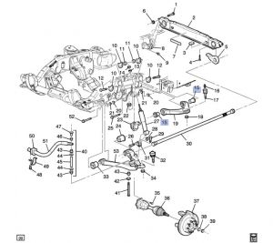 جلدة مقص أمامي علوية