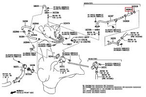 خرطوم ماء الرديتر