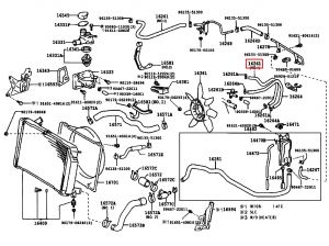 خرطوم ماء الرديتر