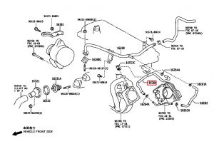 خرطوم ماء الرديتر