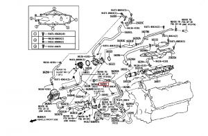 خرطوم ماء الرديتر