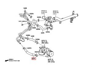 خرطوم ماء الرديتر