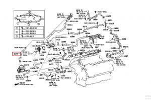 خرطوم ماء الرديتر