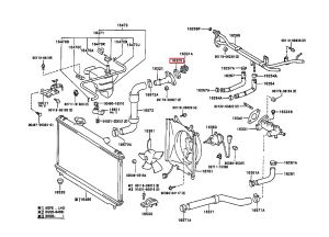 وجه بلف الحرارة