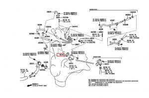 وجه كوع ماء