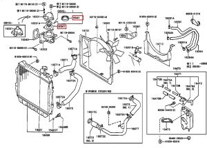 وجه كوع ماء