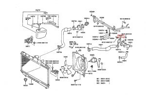 وجه كوع ماء