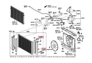 سدادة رديتر ماء سفليه