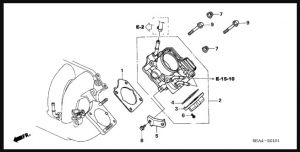 وجه البوابه السفلي