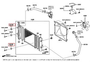 مثبت الرديتر