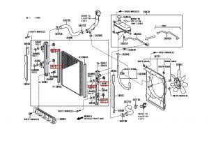 جلدة تثبيت رديتر